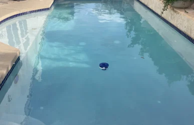 Clear swimming pool surrounded by landscaped patio and garden.