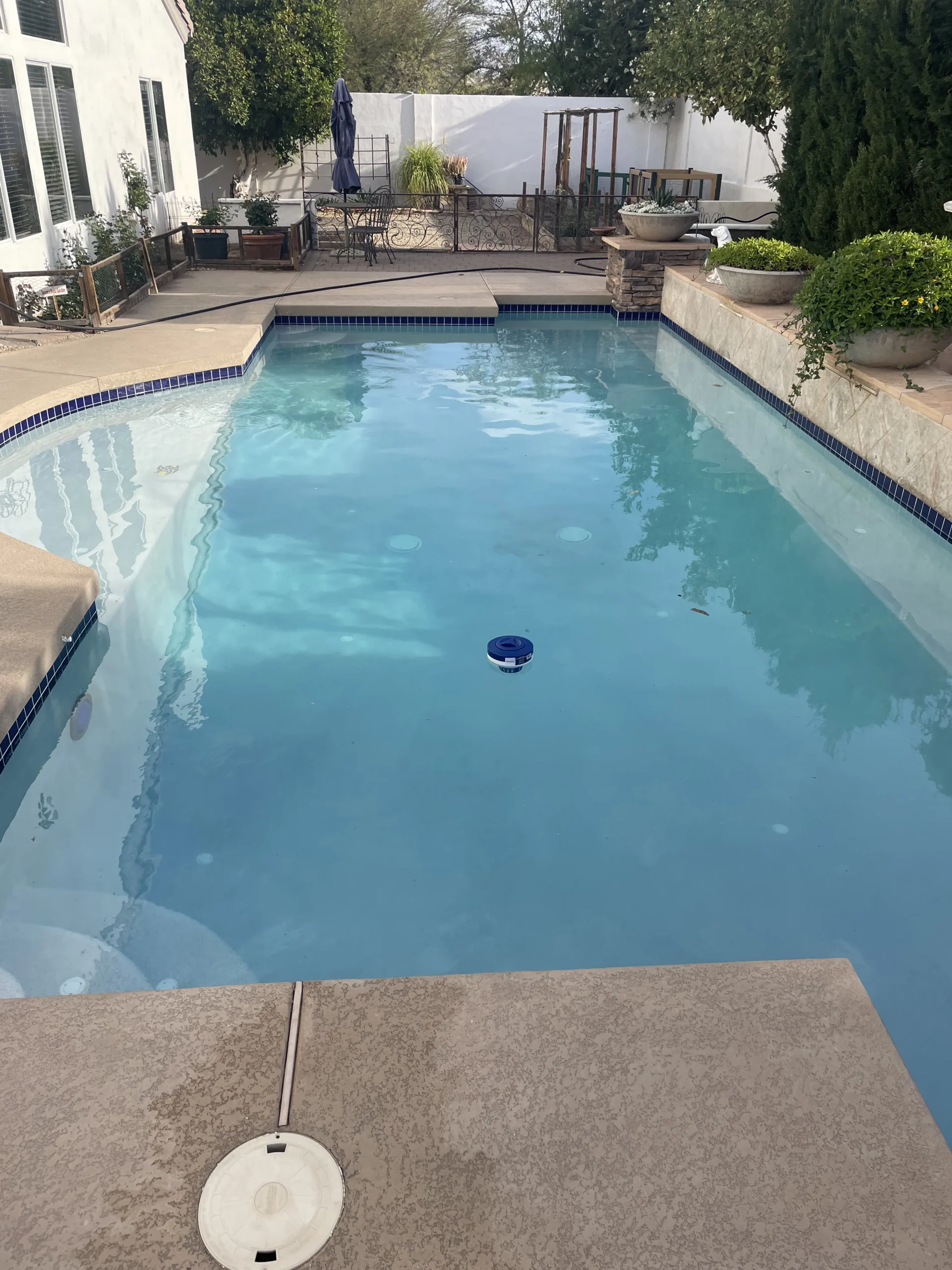 Clear swimming pool surrounded by landscaped patio and garden.